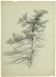 Boomstudie, Newburgh, New York, 1849